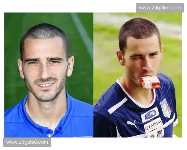 捷克足球联赛水平分析与发展趋势探讨及未来展望